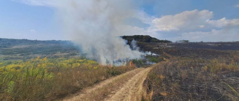 У Берегівському районі рятувальники ліквідовують значну пожежу на полі