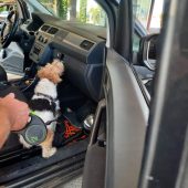 Марихуана в авто: закарпатські митники виявили небезпечні речовини (ФОТО)