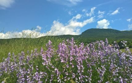 Спека повертається: прогноз погоди в Україні на 26 серпня