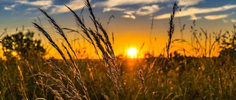 Останні вихідні цього літа на Закарпатті будуть спекотними з короткочасним дощем