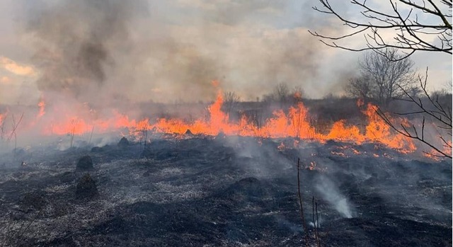 За добу пожежники Закарпаття 12 разів виїжджали гасити траву та чагарники