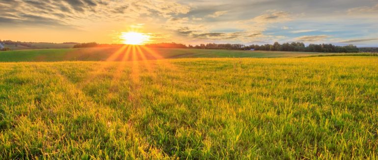 Протягом двох днів на Закарпатті буде надзвичайна пожежна небезпека