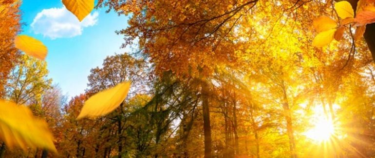 Приходить осінь: тиждень на Закарпатті буде хмарний та дощовий