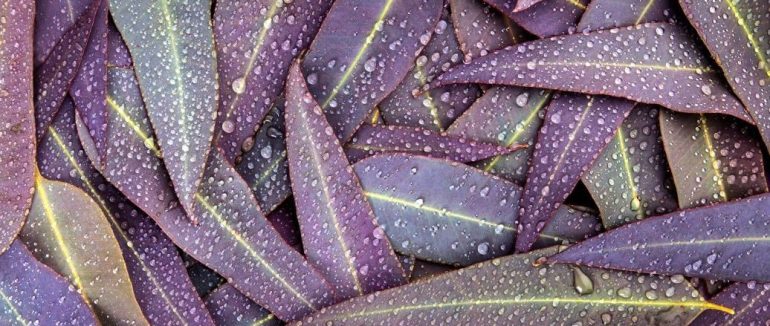 Гороскоп на 20 вересня для всіх знаків зодіаку: день різкого спаду енергії