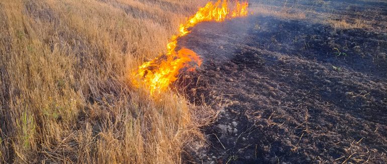 Майже три десятки пожеж в екосистемах ліквідували закарпатські рятувальники протягом вихідних