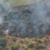 Вогонь на кордоні з Румунією: пожежники Закарпатті рятували територію після підпалу трави (ФОТО)