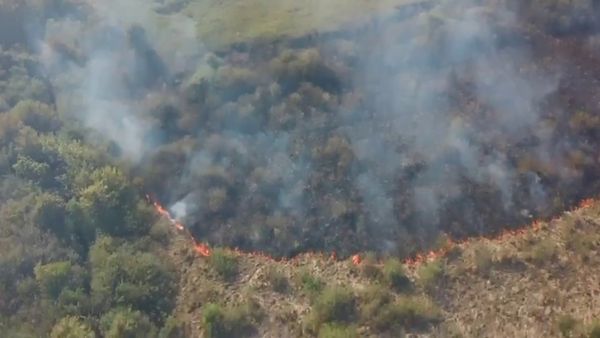 Вогонь на кордоні з Румунією: пожежники Закарпатті рятували територію після підпалу трави (ФОТО)