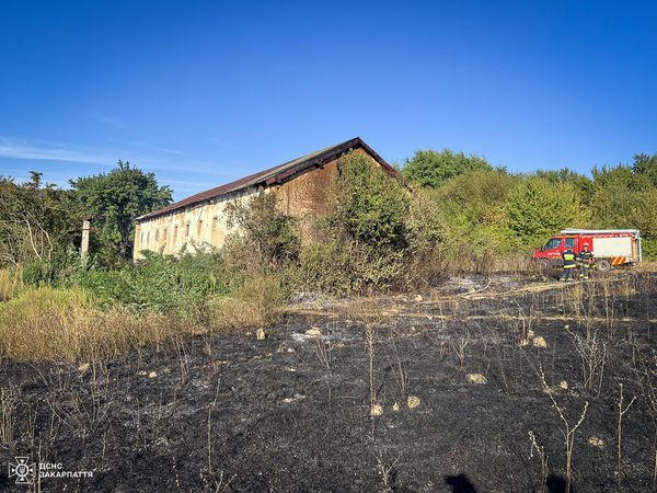 На Ужгородщині через загорання сухостою постраждала будівля