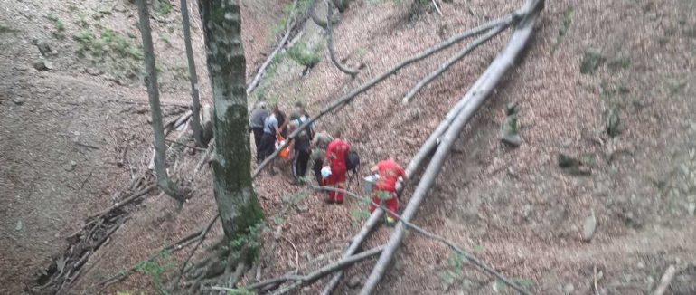 Закарпатська бригада медиків понад 2 км підіймалися гірськими схилами, щоб врятувати травмовану туристку