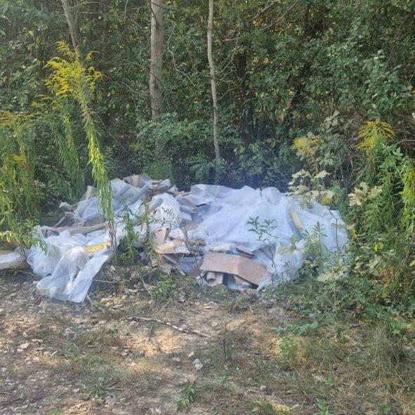 Вивіз сміття на узбіччя: у Мукачеві оштрафували недобросовісного водія