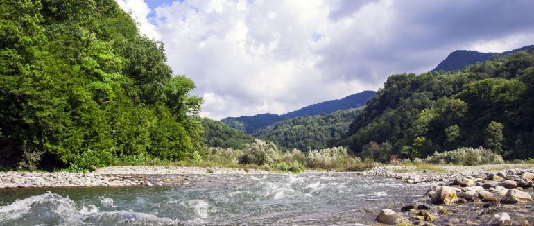 Відпочинок у Східниці: Гармонія Природи та Оздоровлення