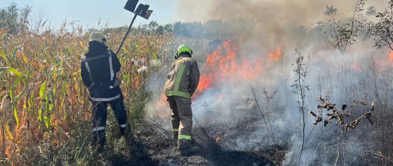 34 випадки за добу: Закарпатські пожежники продовжують боротись з загоряннями трави та чагарників