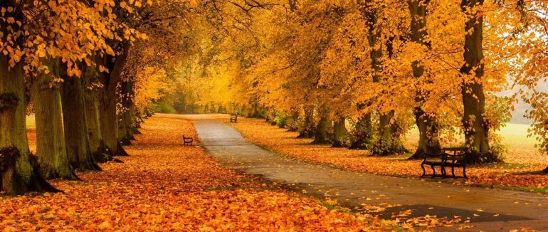 Коли день осіннього рівнодення 2024 року: що це за дата, чим вона особлива