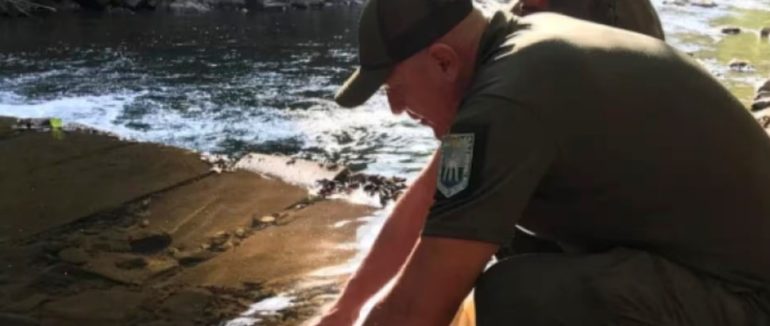 На Закарпатті в річці Тиса оселилися лососі та харіуси