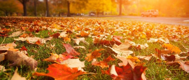 Цього тижня на Закарпатті буде тепло, проте з дощами