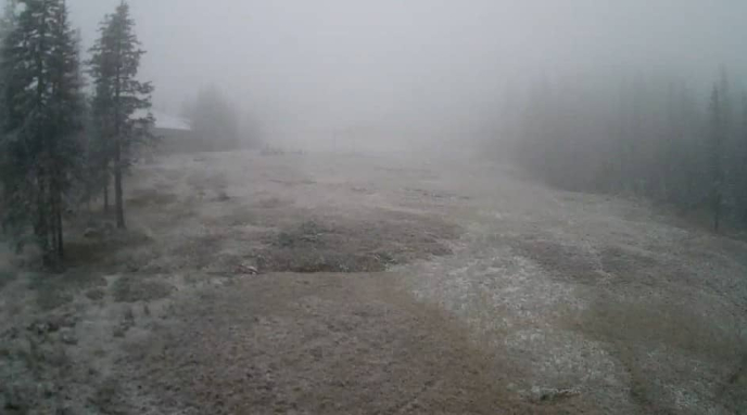 На частині курорту Драгобрат та Буковель перший сніг