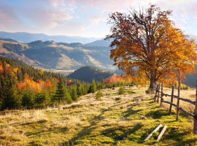 Найближчими днями очікується похолодання до +4 градусів