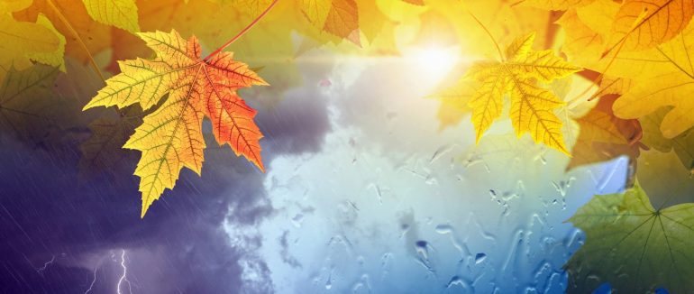 Прогнозують дощі та похолодання: коли погіршиться погода