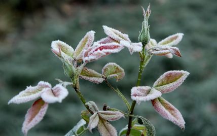 На Закарпатті прогнозують сонячні, але прохолодні вихідні