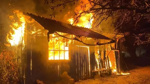 Цьогоріч в пожежах на Закарпатті ледь не загинули сотня людей