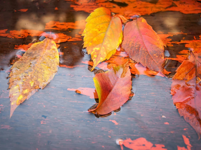 Цими вихідними литиме дощ: де очікувати найбільшу негоду
