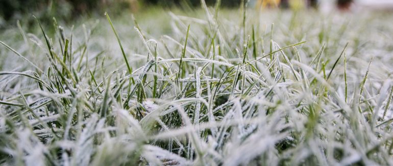 Прогнозують сильні заморозки: коли і де очікують похолодання
