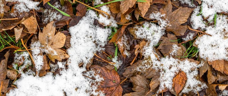 Насувається похолодання та мокрий сніг: коли погіршиться погода
