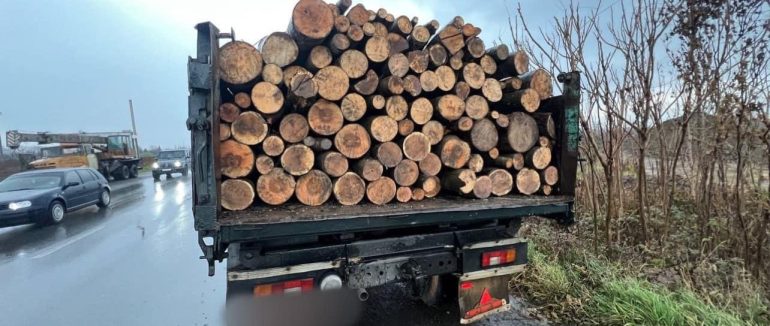 У Мукачеві патрульні виявили керманича, який незаконно перевозив деревину