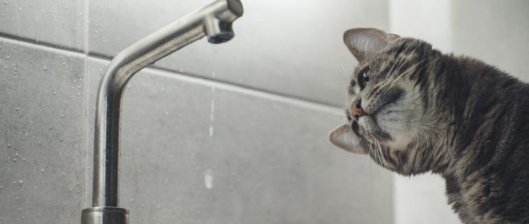 У Мукачеві тимчасово відключать подачу води з трьох водозаборів (Перелік вулиць)