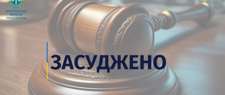 Більше 7 років позбавлення волі отримав житель Рахівщини за незаконне переправлення чоловіків до Румунії