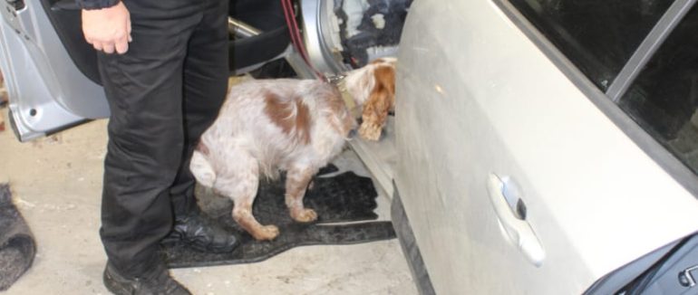 На кордоні в автомобілі закарпатки знайшли схованку з сигаретами