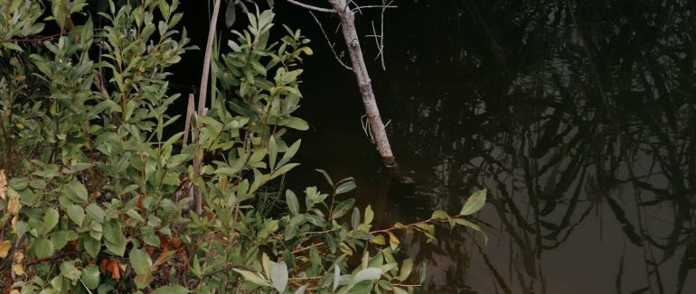 У Рахові в потічку знайшли тіло 54-річного потопельника