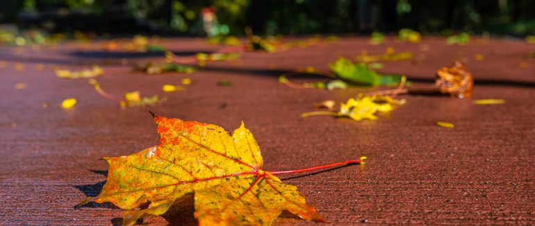 Перші заморозки: цього тижня на Закарпатті вдень буде сонячно, вночі – мороз