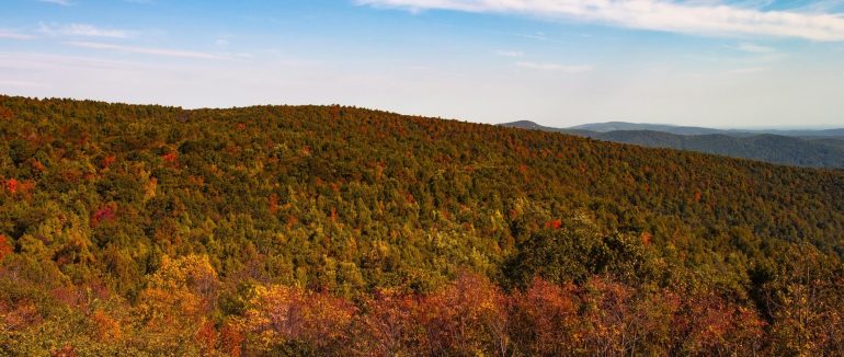 Чим дивуватиме погода на вихідні та де буде найхолодніше