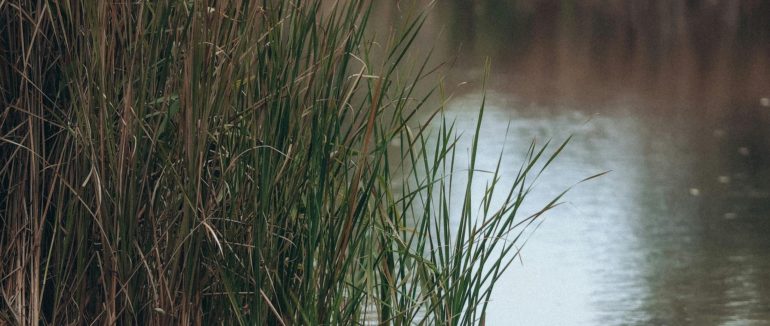 На Ужгородщині у річці знайшли тіло 64-річної жінки