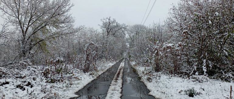 Дощі та мокрий сніг: якою буде погода на вихідних на Закарпатті