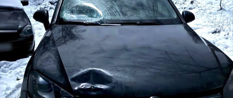 На Рахівщини розшукали та затримали зловмисника, який скоїв смертельну ДТП та втік