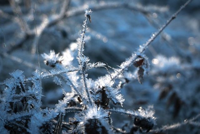 У найближчі два дні в Закарпатській області сніжитиме