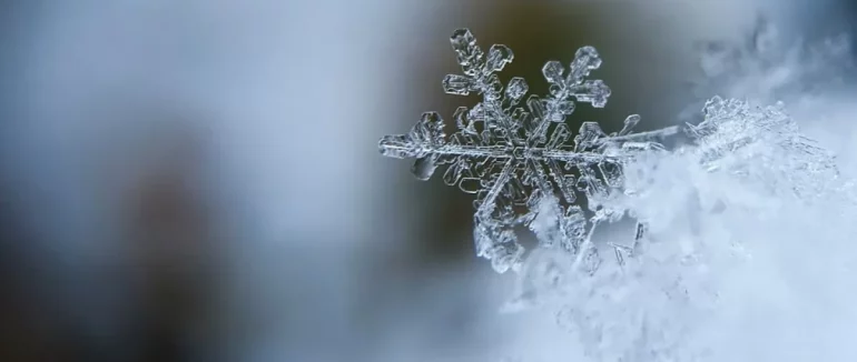 Останні вихідні цього року на Закарпатті будуть теплими