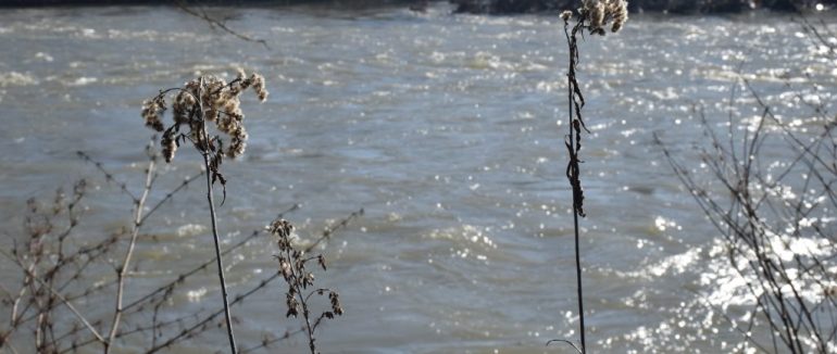 На березі Тиси біля українсько-румунського кордону знайшли потопельника