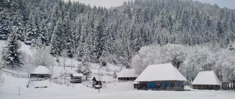 Потепління та мокрий сніг: погода цього тижня на Закарпатті