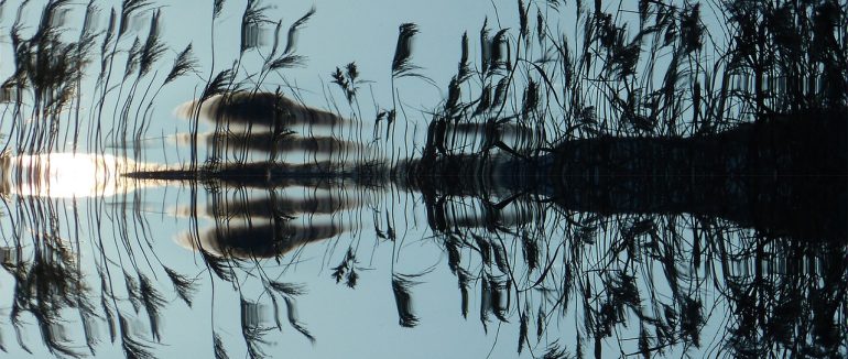 У річці на Рахівщині знайшли тіло чоловіка