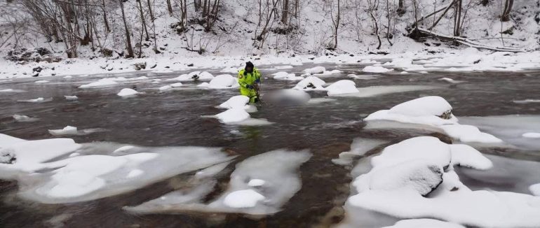 На Рахівщині авто злетіло в річку: одна людина загинула