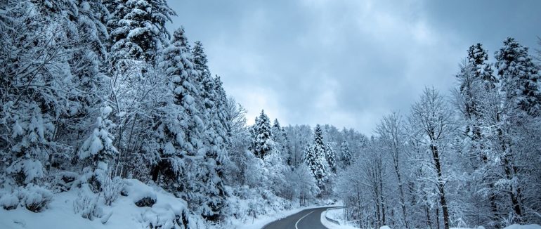 Туман, ожеледиця та до 7° тепла: якою буде погода на Закарпатті цими вихідними
