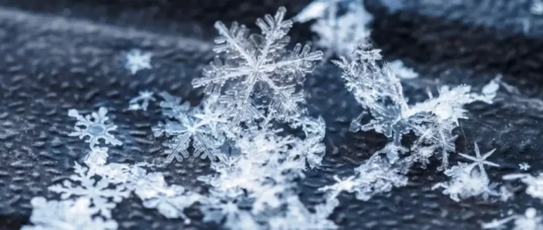 Зима повертається: перший тиждень лютого на Закарпатті буде сонячним та морозним