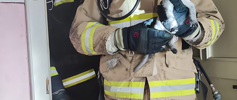 На пожежі у Береговому вогнеборці врятували жінку та кота