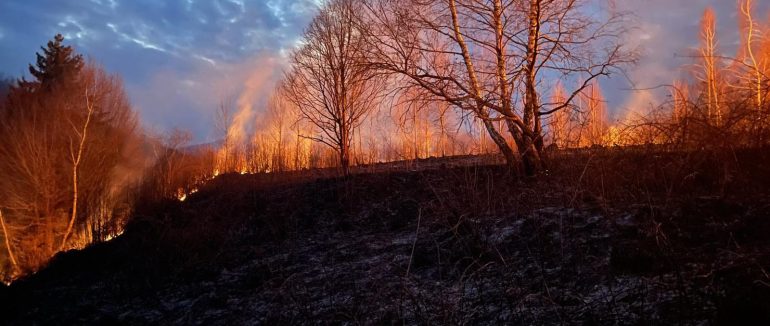 На Тячівщині через спалювання сухої трави загинула жінка