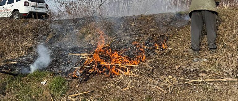 Паліїв виявляють дронами: На Мукачівщині оштрафували трьох паліїв сухостою