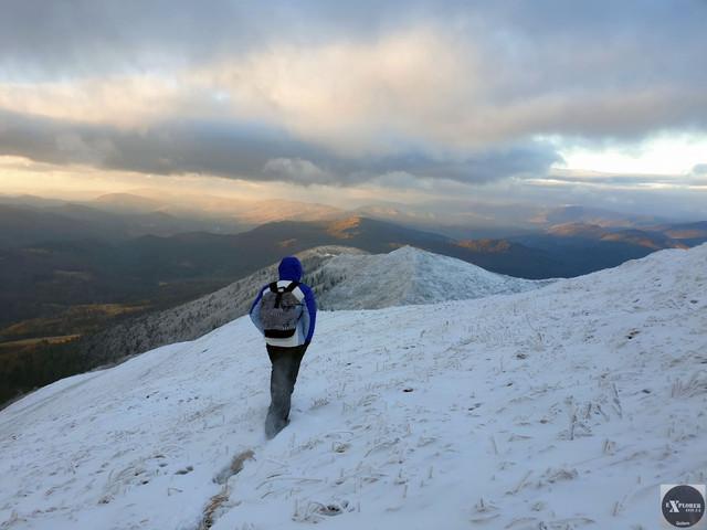 На Мукачівщині шукають пʼятьох місцевих жителів, які заблукали у лісі