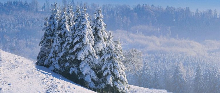 Біля полонини Латундур під час подорожі заблукали троє чоловіків